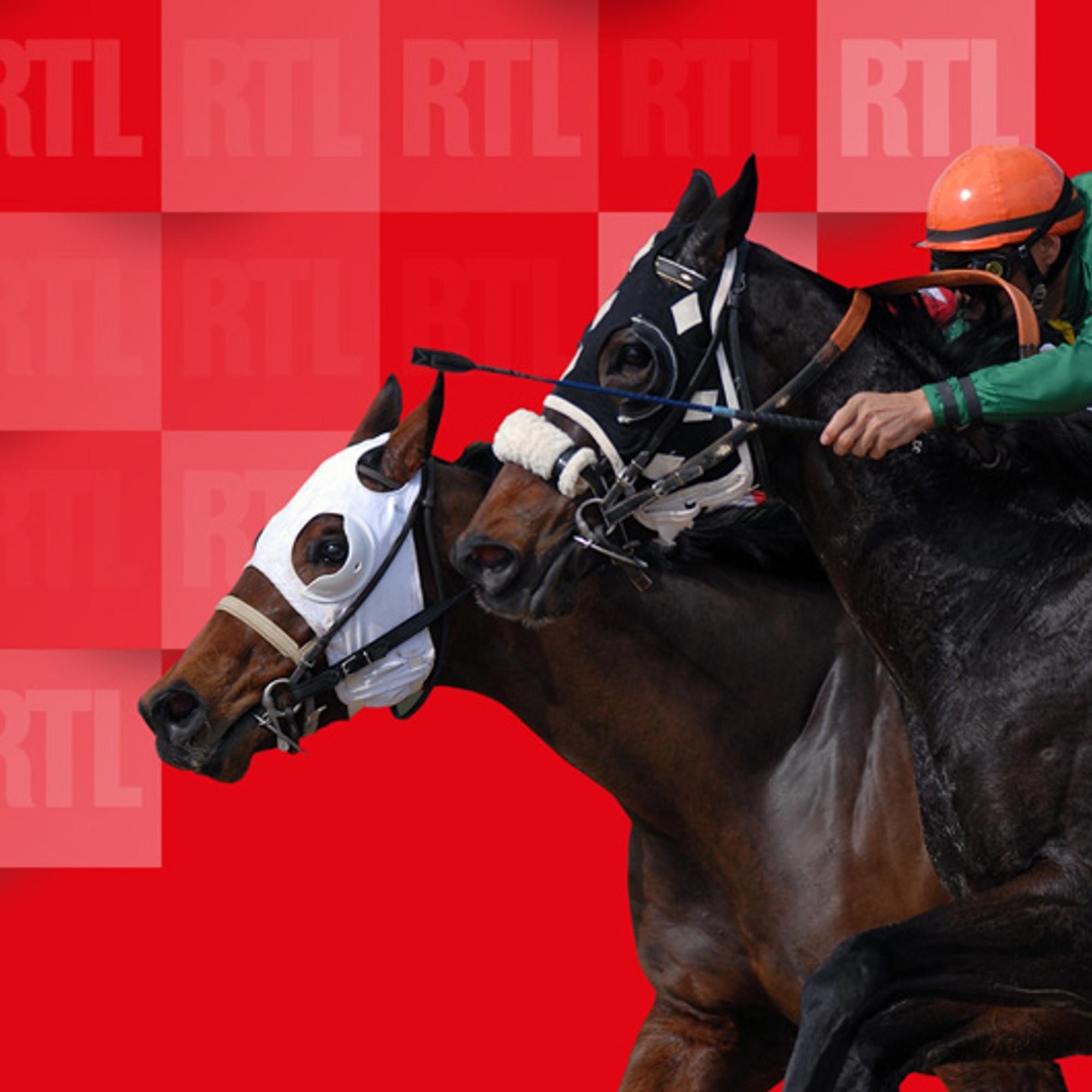 Bad Boy triomphe au Quinté de Longchamp